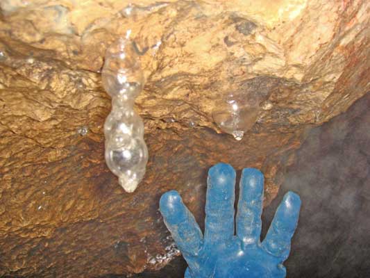 Luftblasenkondome beim Siphon