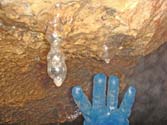 Luftblasenkondome beim Siphon