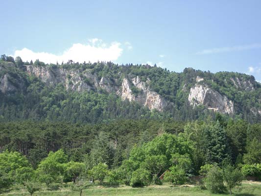 Hanselsteig - Hohe Wand NÖ