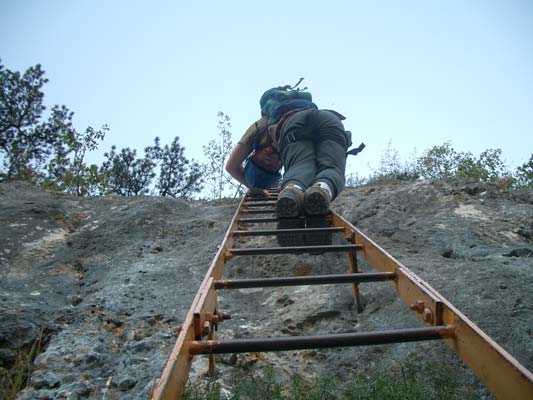 Blick von der Leiter