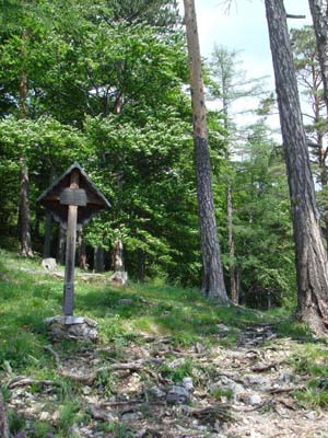 Ferdinand-Mayr-Weg