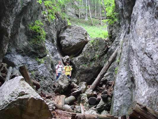 Holzstämme in der Klamm