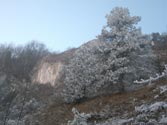 Blick zum Ganghofersteig