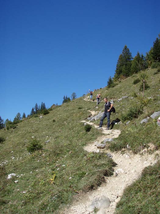 Steig über die Viehweide