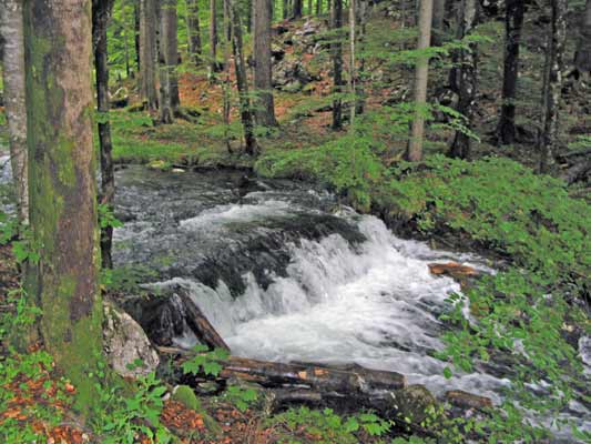 Bach auf der Steigung