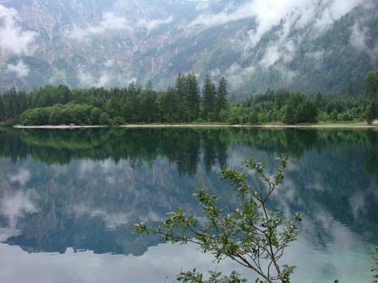 Spiegelungen im See