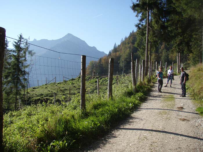 Forststraße entlang des Wildgeheges aufwärts