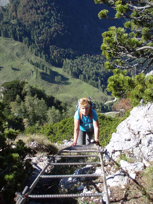 Die lange Leiter, fast 500 m über der Schartenalm