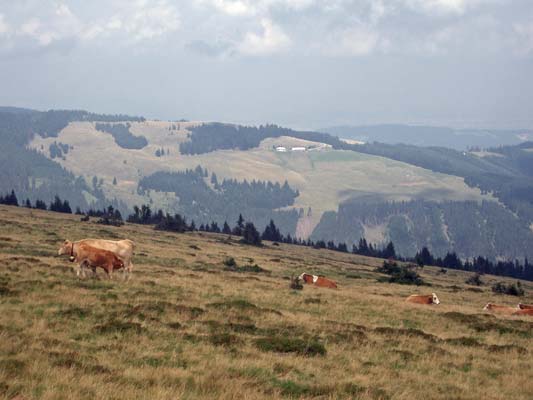 Blick zur Feistritzer Schwaig